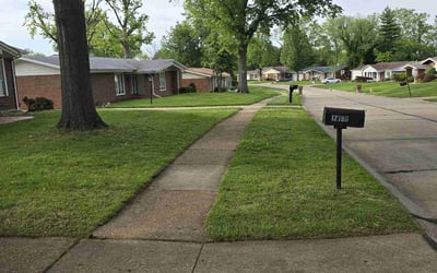 Photo of Camille N.'s yard after getting lawn care in Manor, TX