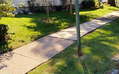 Photo of Michele C.'s yard after getting lawn care in Rutherford, NJ