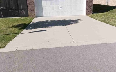Photo of Donnie R.'s yard after getting lawn care in Freehold, NJ