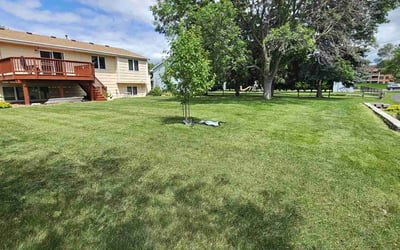 Photo of Michael K.'s yard after getting lawn care in Shakopee, MN