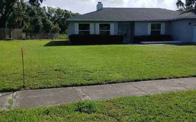 Photo of Carmelita L.'s yard after getting lawn care in Saint Ann, MO