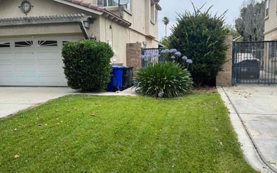 Photo of Romerius F.'s yard after getting lawn care in Canton, MS