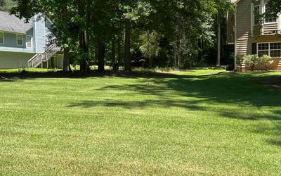Photo of Marcus K.'s yard after getting lawn care in Ellenwood, GA