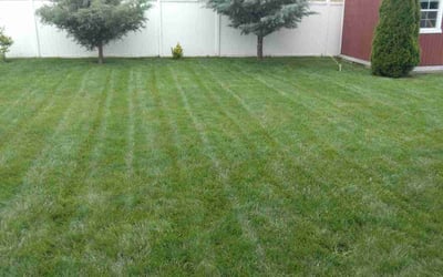 Photo of Amy D.'s yard after getting lawn care in Huntington, WV