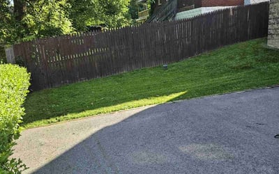 Photo of Virginia M.'s yard after getting lawn care in Cranberry Twp, PA