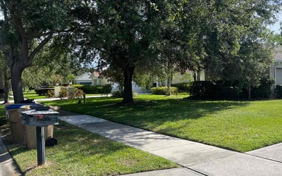 Photo of Maurice G.'s yard after getting lawn care in St. Louis, MO