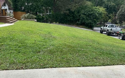 Photo of Yuliana R.'s yard after getting lawn care in Quakertown, PA