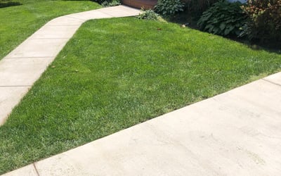Photo of Tarae M.'s yard after getting lawn care in Oakton, VA