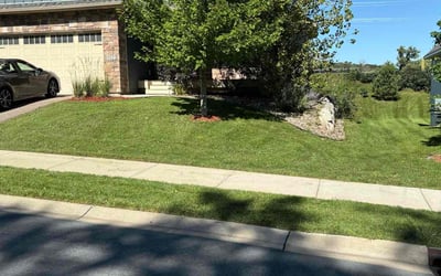 Photo of Nadia I.'s yard after getting lawn care in Savage, MN