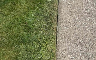 Photo of Edward H.'s yard after getting lawn care in Crestwood, IL