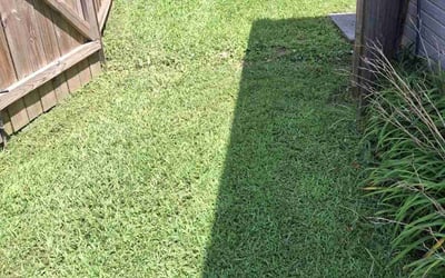 Photo of Jerry S.'s yard after getting lawn care in Hixson, TN