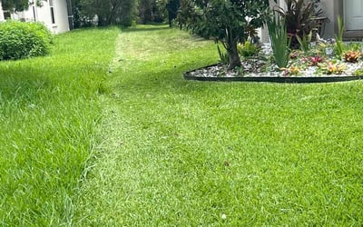 Photo of Brian L.'s yard after getting lawn care in Salt Lake City, UT