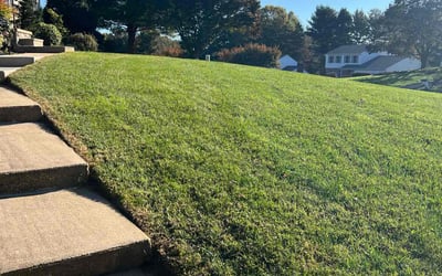 Photo of Jerry P.'s yard after getting lawn care in Forest Hill, MD