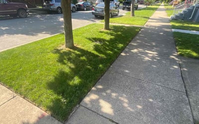 Photo of Angela L.'s yard after getting lawn care in Hoffman Estates, IL