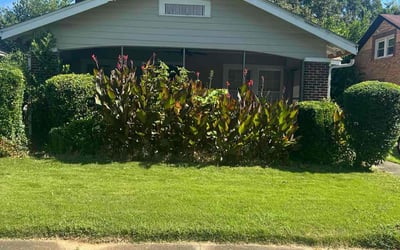 Photo of Alberto S.'s yard after getting lawn care in Taylor, TX