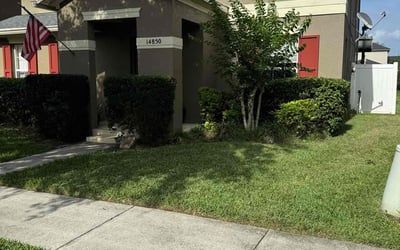 Photo of Bronwyn M.'s yard after getting lawn care in Catonsville, MD