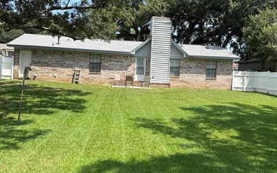 Photo of Lou C.'s yard after getting lawn care in Memphis, TN