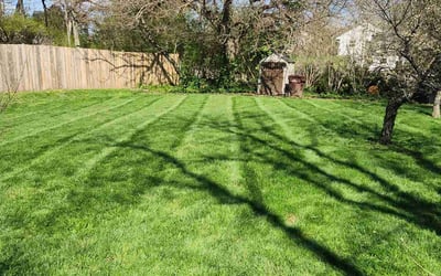 Photo of Tracy C.'s yard after getting lawn care in Springfield, OH