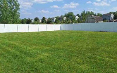 Photo of Kenneth F.'s yard after getting lawn care in Euclid, OH