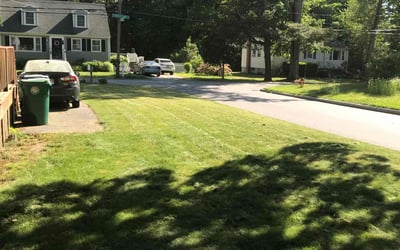 Photo of Foday C.'s yard after getting lawn care in Burlington, MA