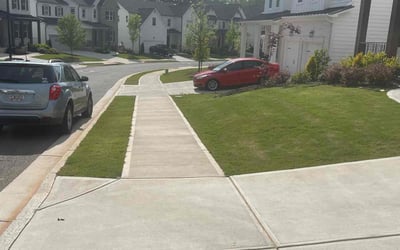 Photo of Shontel R.'s yard after getting lawn care in Hampton, GA