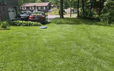 Photo of Wendy B.'s yard after getting lawn care in Ogden, UT
