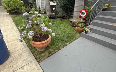 Photo of Matthew P.'s yard after getting lawn care in Indian Trail, NC
