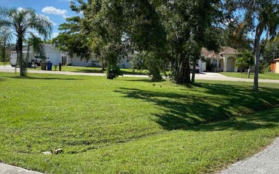 Photo of Mary C.'s yard after getting lawn care in Oakland Gardens, NY