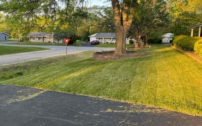 Photo of Susie E.'s yard after getting lawn care in Severna Park, MD