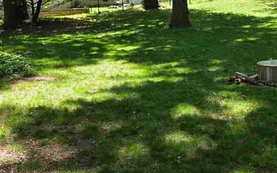 Photo of Jayln M.'s yard after getting lawn care in Bloomingdale, IL
