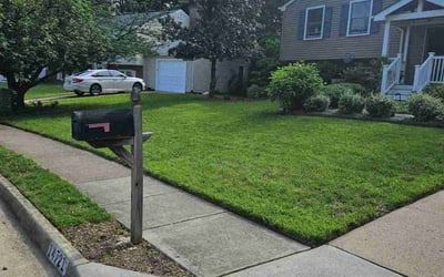 Photo of Stephen D.'s yard after getting lawn care in West Deptford, NJ