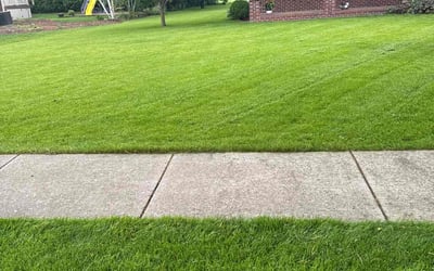 Photo of Tina W.'s yard after getting lawn care in New Lenox, IL