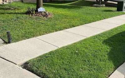 Photo of Skylar S.'s yard after getting lawn care in Buford, GA