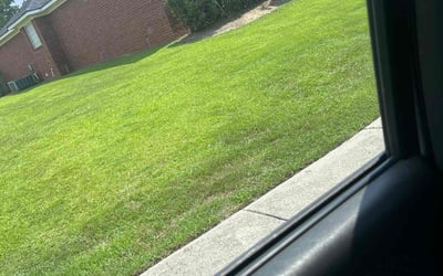 Photo of Robert T.'s yard after getting lawn care in Oakdale, MN