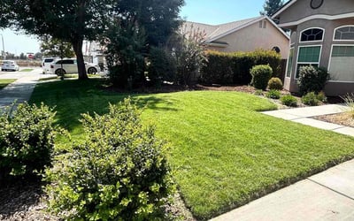 Photo of Kristen C.'s yard after getting lawn care in Visalia, CA