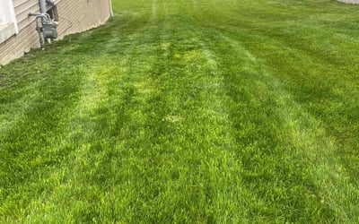 Photo of Dawn S.'s yard after getting lawn care in Valencia, PA