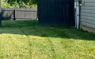Photo of Eva D.'s yard after getting lawn care in Radcliff, KY
