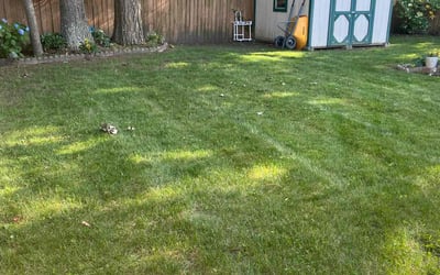 Photo of Christina C.'s yard after getting lawn care in Newport News, VA