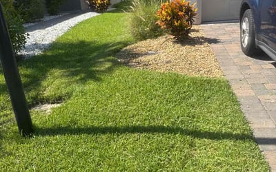 Photo of Richard F.'s yard after getting lawn care in Streamwood, IL