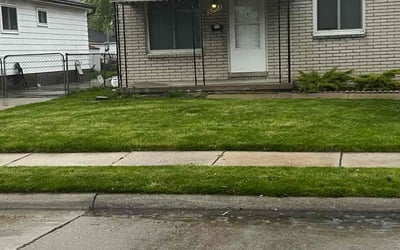 Photo of Blake S.'s yard after getting lawn care in Fleming Island, FL