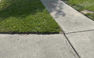 Photo of Shawna W.'s yard after getting lawn care in Helena, AL