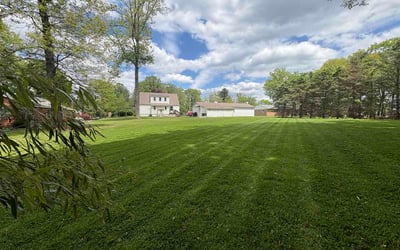 Photo of Cheryl E.'s yard after getting lawn care in Dundalk, MD