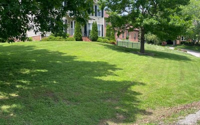 Photo of Rory J.'s yard after getting lawn care in Lake Wales, FL