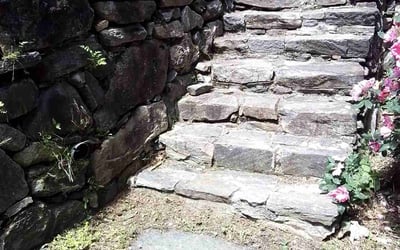 Photo of Tony I.'s yard after getting lawn care in Bensenville, IL