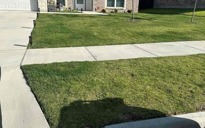 Photo of Dennis R.'s yard after getting lawn care in Killeen, TX