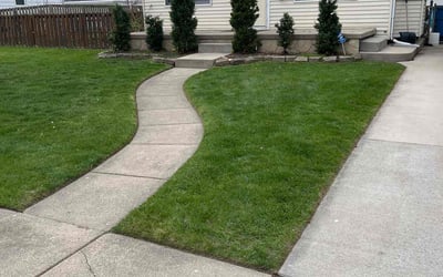 Photo of Moe Z.'s yard after getting lawn care in Dearborn Heights, MI
