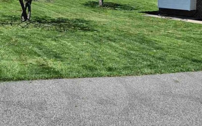 Photo of Francesco P.'s yard after getting lawn care in Elkins Park, PA