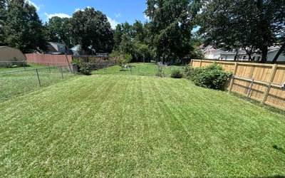 Photo of Tyler L.'s yard after getting lawn care in Spring Hill, FL