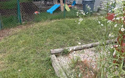 Photo of Beth B.'s yard after getting lawn care in River Falls, WI