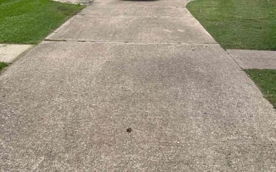 Photo of Phyllis F.'s yard after getting lawn care in Warren, PA